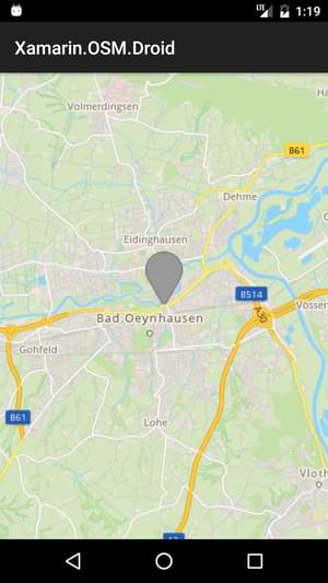 Image of a custom looking Open Street Map map with a location pin